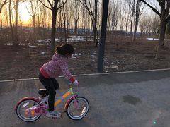 -东郊湿地公园