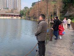 -重庆彩云湖湿地公园