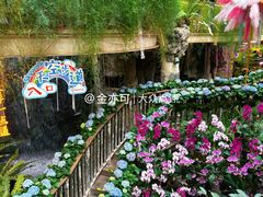 -正佳雨林生态植物园