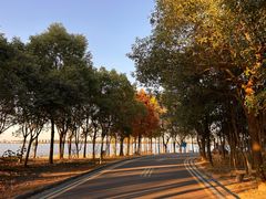 -溱湖国家湿地公园