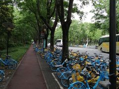 -华东师范大学第二附属中学(张江校区)