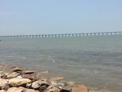 -宝安西湾红树林湿地公园