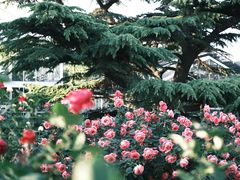 -国家植物园南园