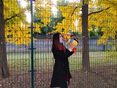 -三里屯东五街银杏大道