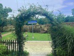 -同里国家湿地公园