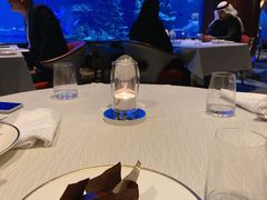 -迪拜帆船酒店海底餐厅