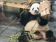 -无锡动物园·太湖欢乐园