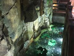 -御池园(顾村公园店)