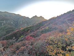 -水峪民俗村