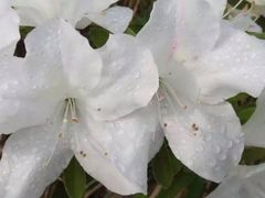 -上海植物园·停车场