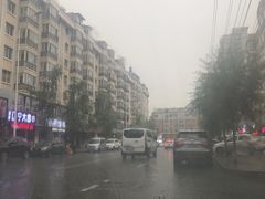-龙江大舞台旗舰店