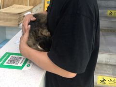 -甄爱宠物医院(疏影路店)