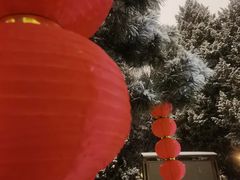 -团结湖公园