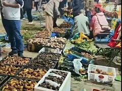 -呈贡滇池生态湿地公园