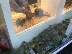 -龙猫仔乐园(惠福东路店)