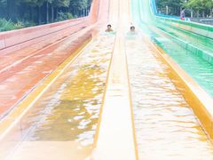 -重庆海昌加勒比海水世界