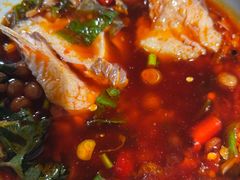 -鲜椒鱼·雅安地标性美食