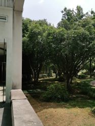 -聚贤堂中餐厅(湖滨金陵饭店店)