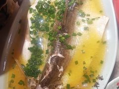 清蒸白鱼（太湖鸡汁白鱼）-京城小江南·北京烤鸭·江南土菜·白鱼(中关村店)