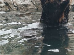-上海野生动物园