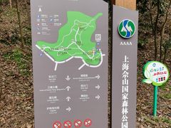 -上海佘山国家森林公园天马山园