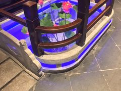 -姑苏家宴·苏帮菜·松鼠桂鱼(苏州总店)