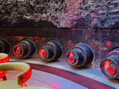 -首钢一高炉·SoReal科幻乐园