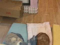 -联合动物医院(光谷诊疗中心)