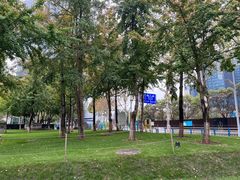 -重庆市江北嘴中央商务区中央公园