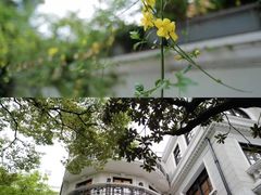 -Nathalie Djurberg与Hans Berg“牛皮纸包裹的月亮”-Prada荣宅当季展览