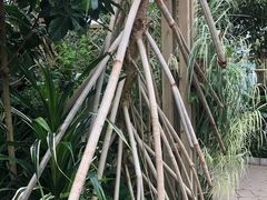 -华南国家植物园-售票处