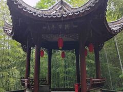 -仙霞关景区