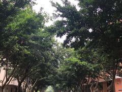 -四川大学(望江校区)