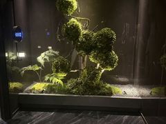 -唐宫足道·SPA·影院会馆(木渎店)