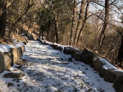 -阳台山自然风景区