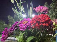 -佬土鹅肠火锅(中建大观店)