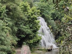 -华蓥山天意谷景区