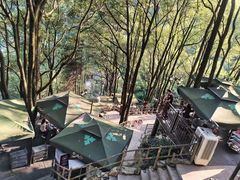 -巴倒烫陆派重庆火锅(南山店)