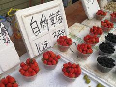 -黄埔古港