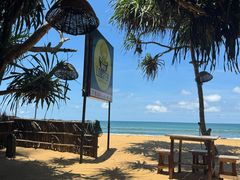 -Green Lobster Waskaduwa Seafood Restaurant