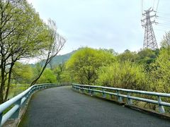 -西湖风景区-江洋畈生态公园