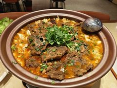 -杨氏青龙虾·羊蝎子(珠江路店)