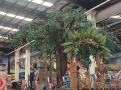 -南宫温泉水世界