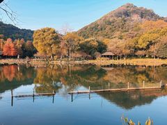 -八卦田遗址公园