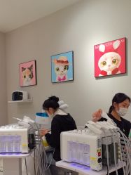 -洗脸猫·洗脸吧