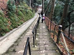 -岚山猴子公园