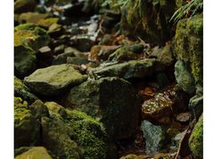 -会稽山峡洞漂流-上青古道