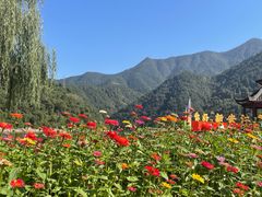 -新安江山水画廊风景区