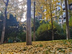 -唐城墙遗址公园