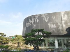 -罗红摄影艺术馆